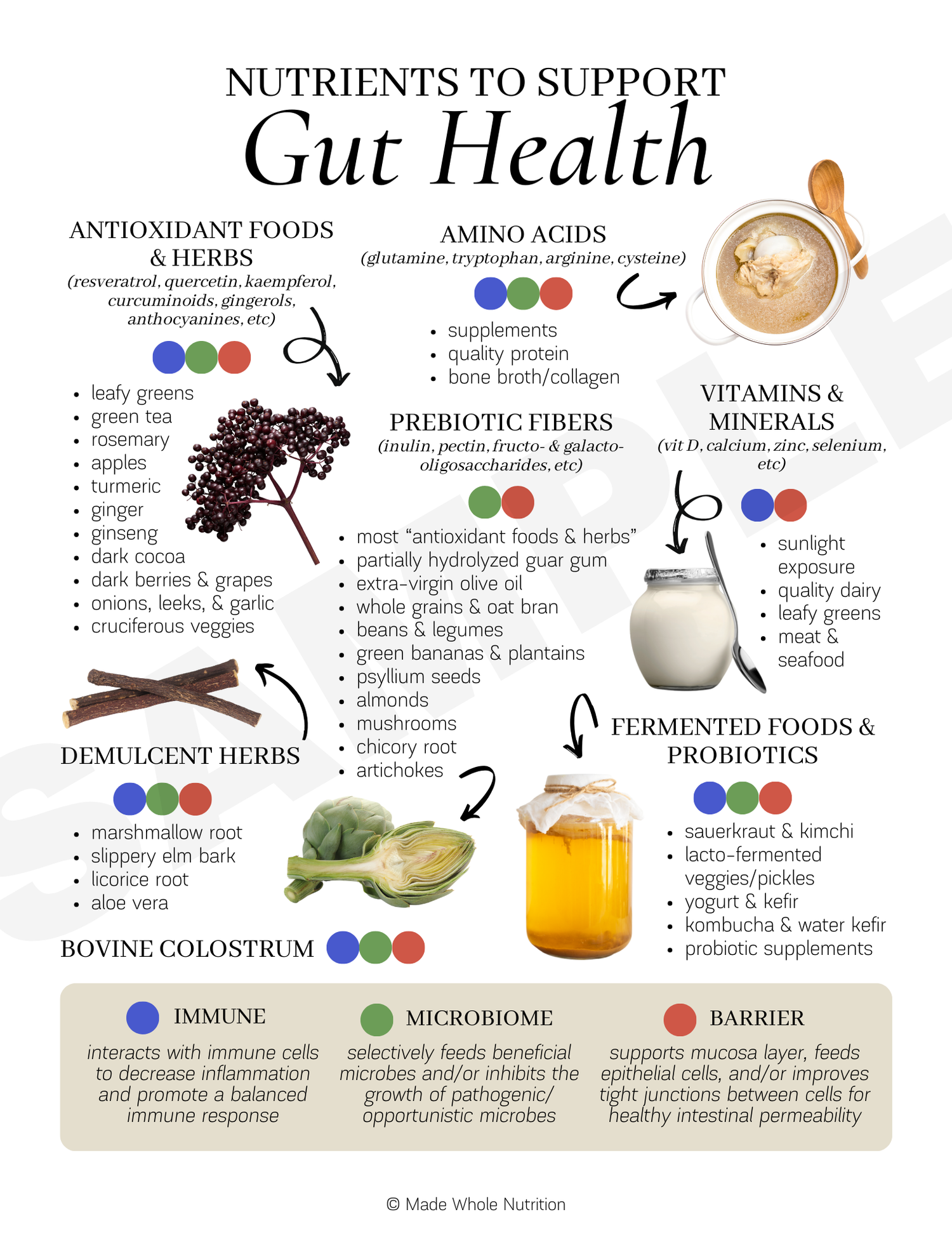 Gut Health Nutrition